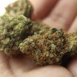The Benefits Of Online Dispensaries  For Those Who Want To buy weed online