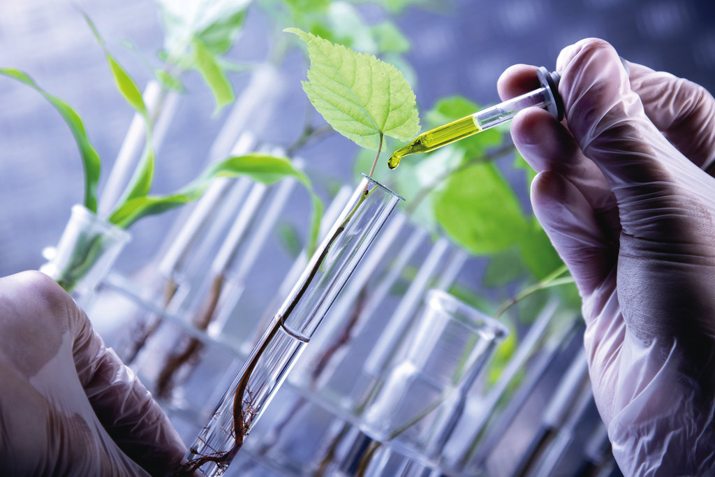 Buy Lab Tested Peptides Online: Elevating Reliability and Precision in Research