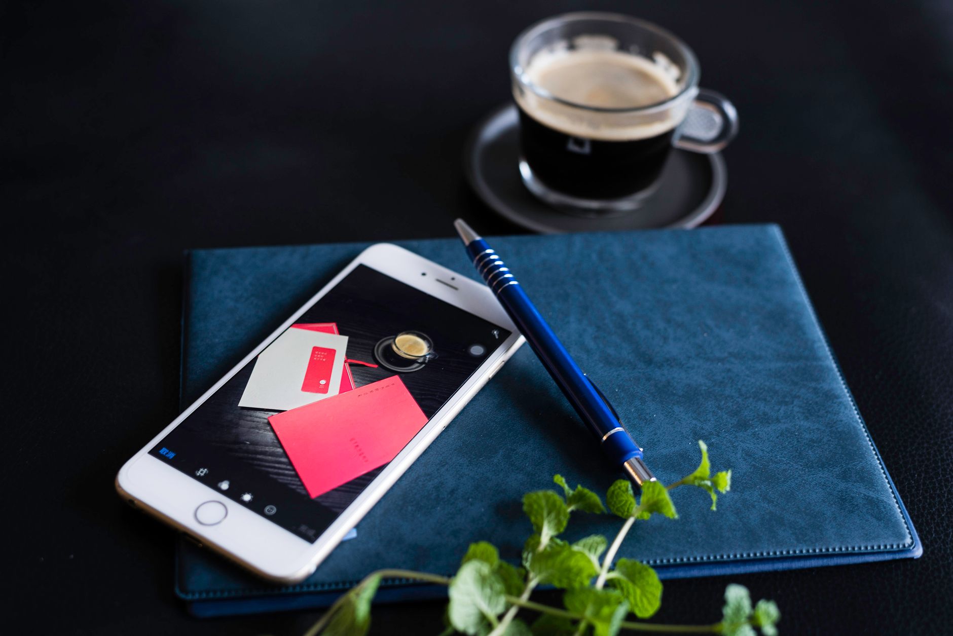 Mint Mobile phone plan