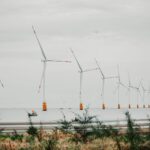 German offshore wind reform: Right Move for Energy Transition